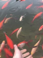 Čerpadlo, Filtrační set, Skimmer, rozmrazovač hladiny