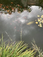 Čerpadlo, Filtrační set, Skimmer, rozmrazovač hladiny