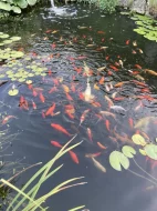 Čerpadlo, Filtrační set, Skimmer, rozmrazovač hladiny