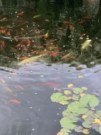 Čerpadlo, Filtrační set, Skimmer, rozmrazovač hladiny