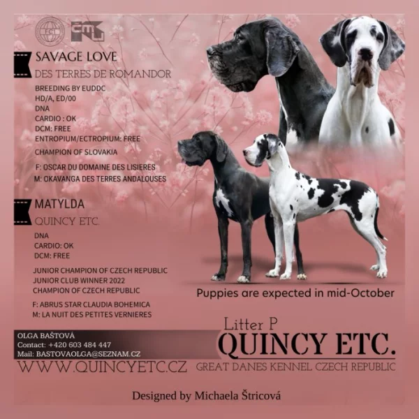 Německá doga - štěňata s PP