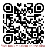 Sibiřská kočka/Něvská maškaráda s PP