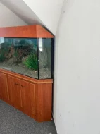 Prodej velkoobjemového akvária - cca 240 litrů