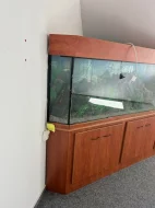 Prodej velkoobjemového akvária - cca 240 litrů