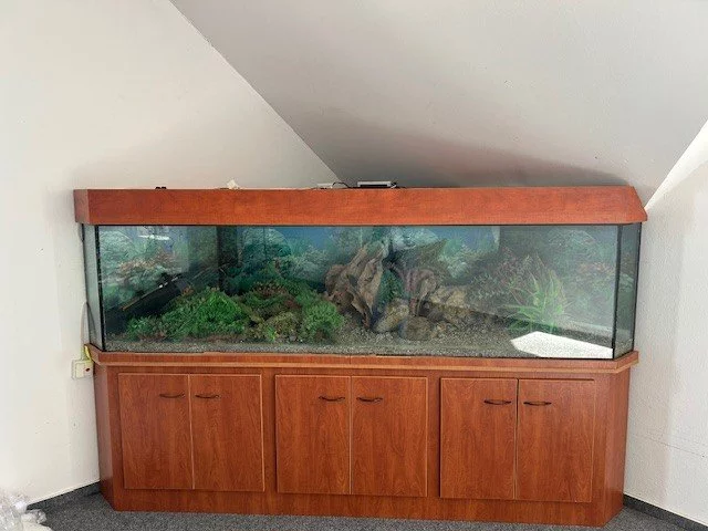 Prodej velkoobjemového akvária - cca 240 litrů