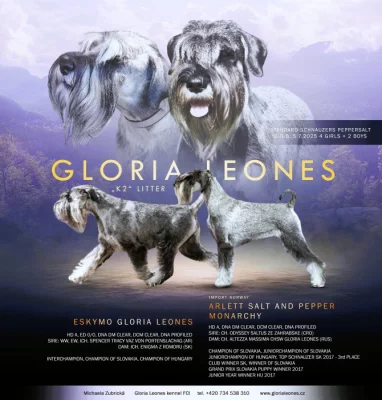 Knírač střední pepř a sůl