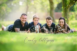 Čínský chocholatý pes s PP