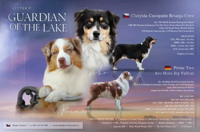 AUO s PP k odběru od 12.10.2025