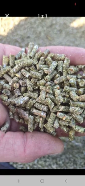 Vojtěškové granule krmivo