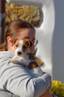 Jack Russel teriér s PP
