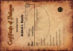 Patterdale teriér - prodej štěňat