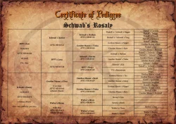 Patterdale teriér - prodej štěňat