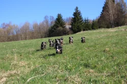 štěně - Velký švýcarský salašník