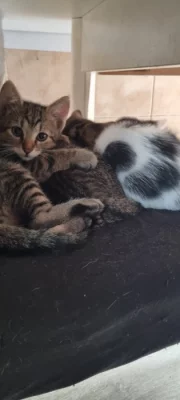 Daruji do dobrých rukou