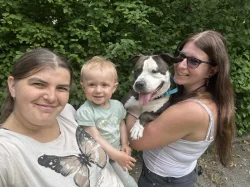 Americký stafordširský teriér