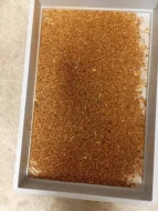 Živí mouční červi