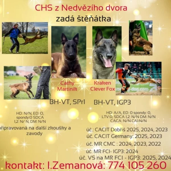 Nabízím štěňátka BOM s PP