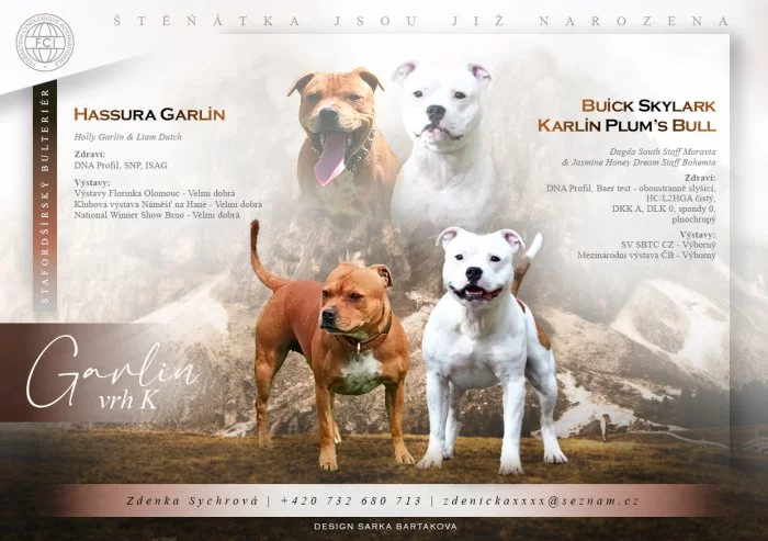 Stafordšírský bulteriér s PP