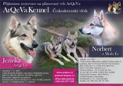 Československý vlčák s PP