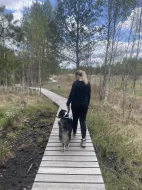 Australský ovčák s PP