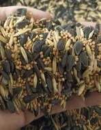 Směs do krmítek / pro papoušky