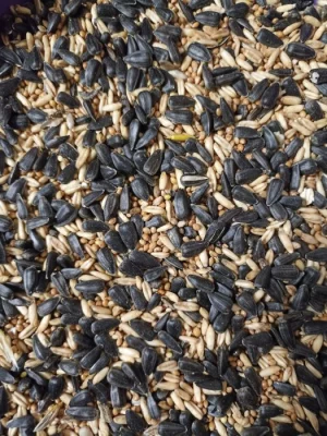 Směs do krmítek / pro papoušky