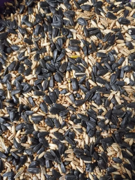 Směs do krmítek / pro papoušky