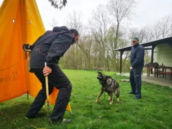 Nabízíme k rezervaci už jen 3 volná štěňátka Němec. ovčáka