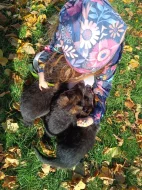 Štěňátka NO s PP