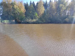 Prodám 2 rybníky a přilehlé pozemky - akční nabídka