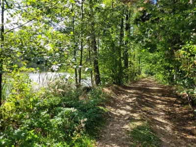 Prodám 2 rybníky a přilehlé pozemky - akční nabídka