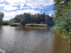 Prodám 2 rybníky a přilehlé pozemky - akční nabídka