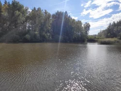 Prodám 2 rybníky a přilehlé pozemky - akční nabídka