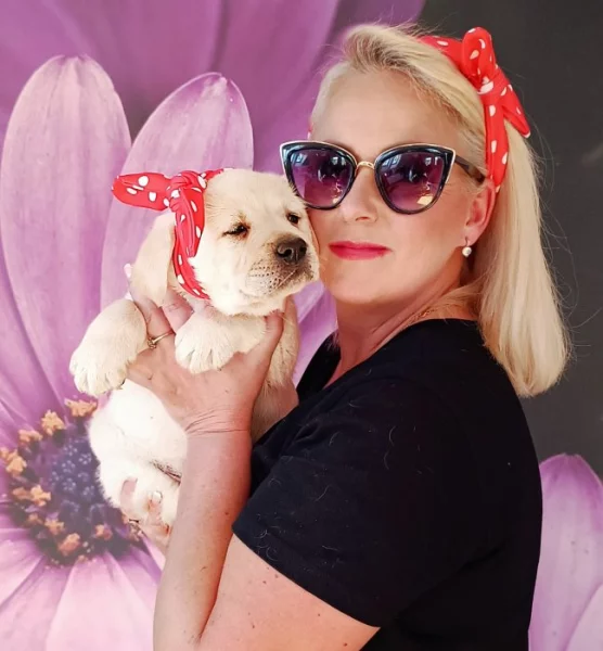 Labradorský retrívr s PP