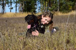 Dobrman - štěňata s PP, možnost rezervace