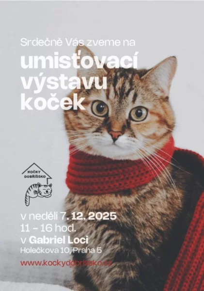 Umísťovací výstava koček v Gabriel Loci