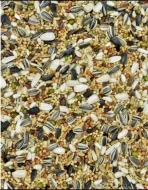 Týniště nad Orlicí 23. 11. 2025 přijímáme objednávky.