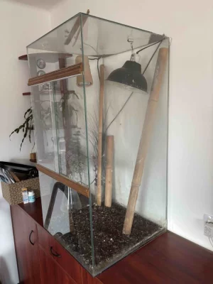 Terárium sklo 100x50x50 cm