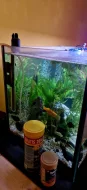 Prodám akvárium s vybavením!