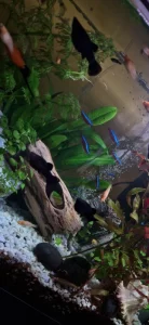 Prodám akvárium s vybavením!