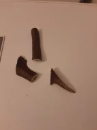 Pamlsky - Parohy pro psy