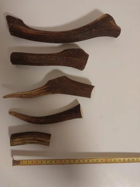 Pamlsky - Parohy pro psy