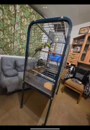 Papoušek Kouřový (Horský) 1 samec 1 samička oba 6 let s vybavením