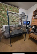 Papoušek Kouřový (Horský) 1 samec 1 samička oba 6 let s vybavením