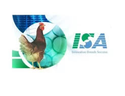 Podej slepiček 10 týdnů - ISA BROWN 🐔🐔