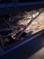 Krásná užovka červená Tessera anery