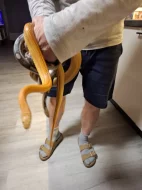 Krásná užovka červená Tessera anery