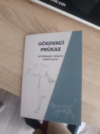 Jorkšírský teriér kluk 2,5 mesice