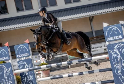 11 letá sportovní klisna