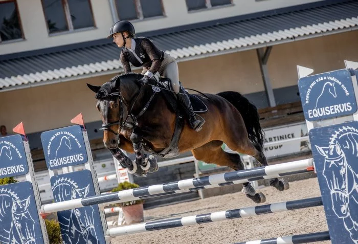 11 letá sportovní klisna